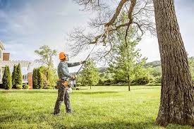  Mulberry, FL Tree Removal Services Pros